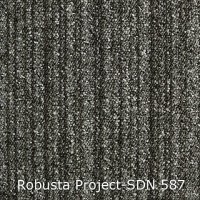 Robusta Project-SDN 587